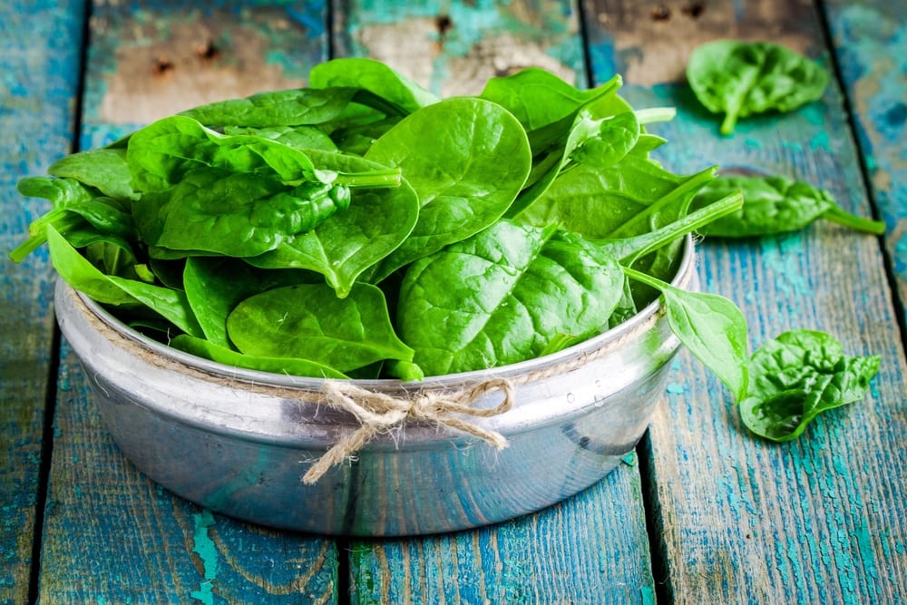 Verduras de hoja verde